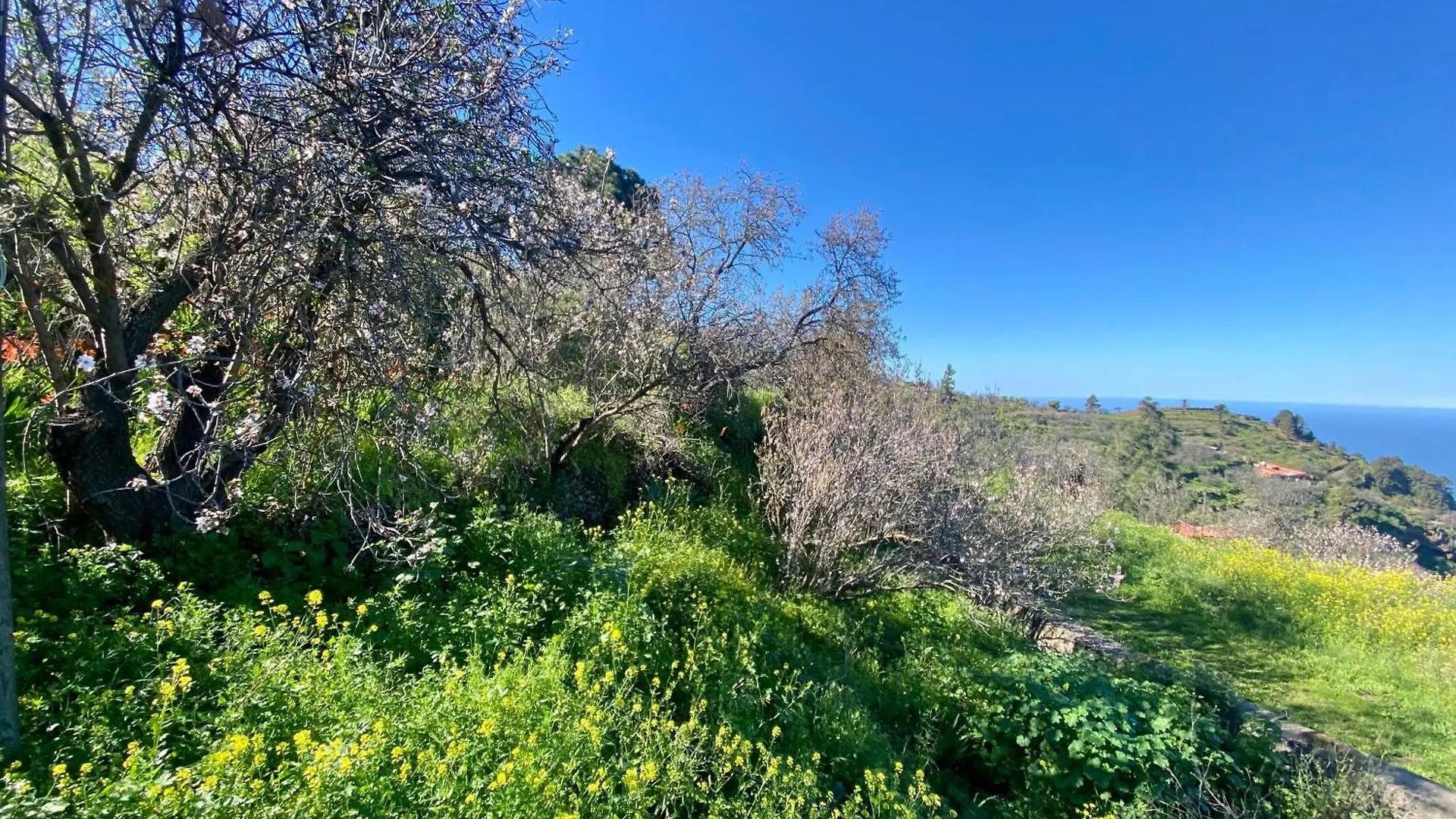 סנטה קרוז דה טנריף Casa Las Martina בית נופש סנטה קרוז דה טנריף